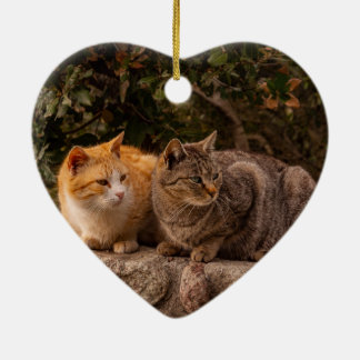 Beautiful Cats, Ornament