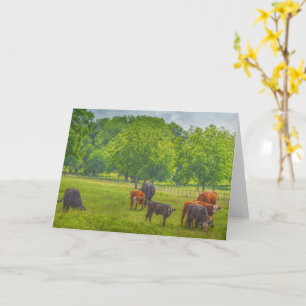 Beautiful Cattle Farm Scene Art Note Card