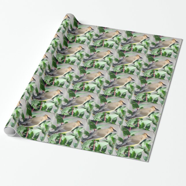 Beautiful Cedar Waxwing Wrapping Paper (Unrolled)