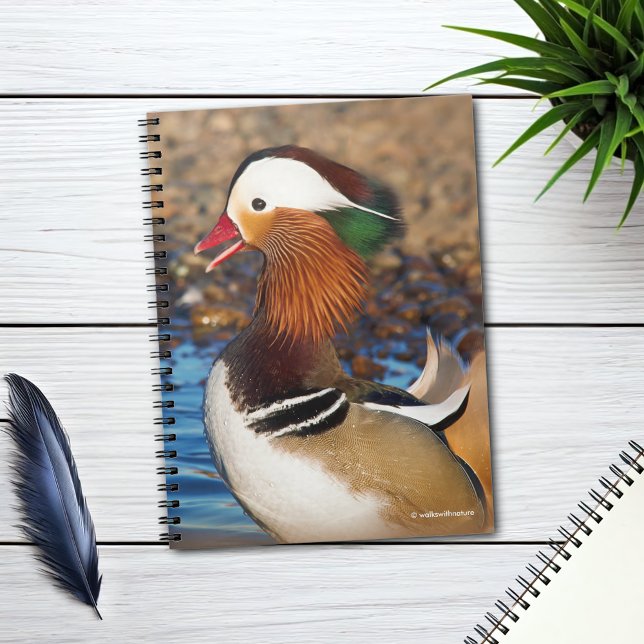 Beautiful Chatty Mandarin Duck at the Pond Notebook (Chatty Mandarin Duck at the Lake Journal Cover Photo)
