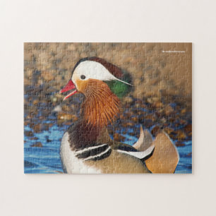 Beautiful Chatty Mandarin Duck on the Rocks Jigsaw Puzzle