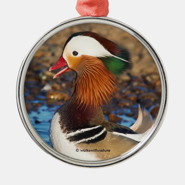 Beautiful Chatty Mandarin Duck on the Rocks Metal Tree Decoration (Front)