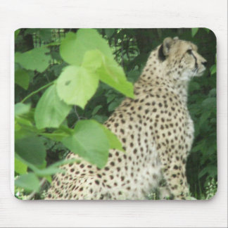 Beautiful cheetah mouse mat