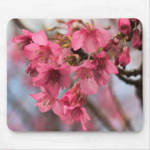 Beautiful Cherry Blossoms Mouse Mat