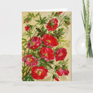 Beautiful Cherry Red Wild Roses Notecards