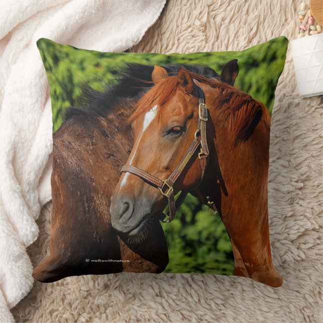 Beautiful Chestnut Horses in the Summer Sun Cushion (Blanket)