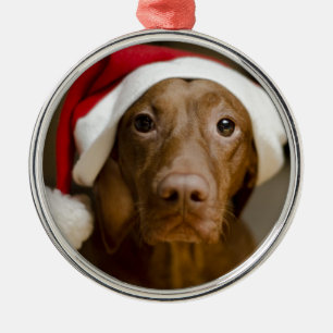 Beautiful Chocolate Lab in Santa Hat Metal Tree Decoration