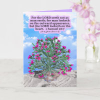 Beautiful Cholla Cactus Scripture 1 Samuel 16:7