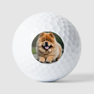 Beautiful Chow Chow Golf Balls