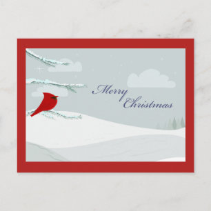 Beautiful Christmas Cardinal Postcard