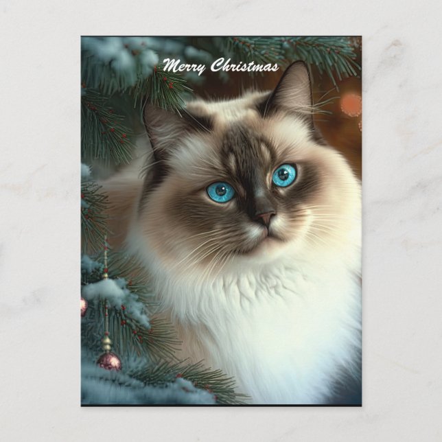 Beautiful Christmas Cat Postcard (Front)