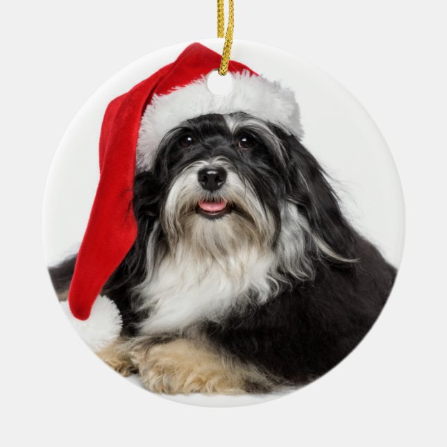 Beautiful Christmas Havanese Dog With Santa Hat Ceramic Tree Decoration (Front)