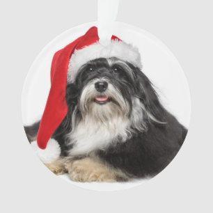 Beautiful Christmas Havanese Dog With Santa Hat Ornament