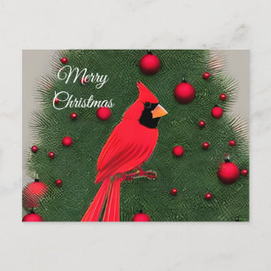 Beautiful Christmas Red Cardinal Holiday Postcard