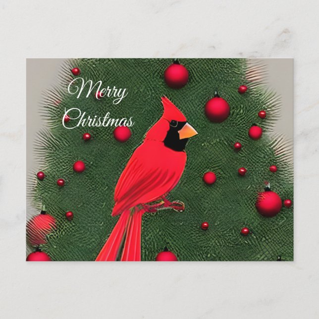 Beautiful Christmas Red Cardinal Holiday Postcard (Front)