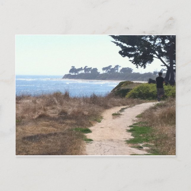 Beautiful Clear Sky at the Beach. Postcard (Front)