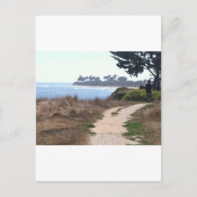 Beautiful Clear Sky at the Beach. Postcard (Front)