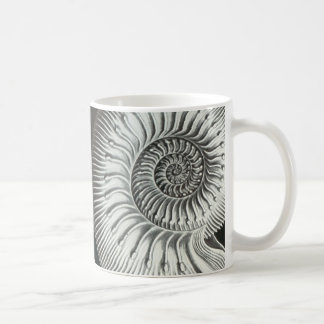 Beautiful close up ammonite picture design coffee mug