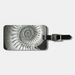 Beautiful close up ammonite picture design luggage tag
