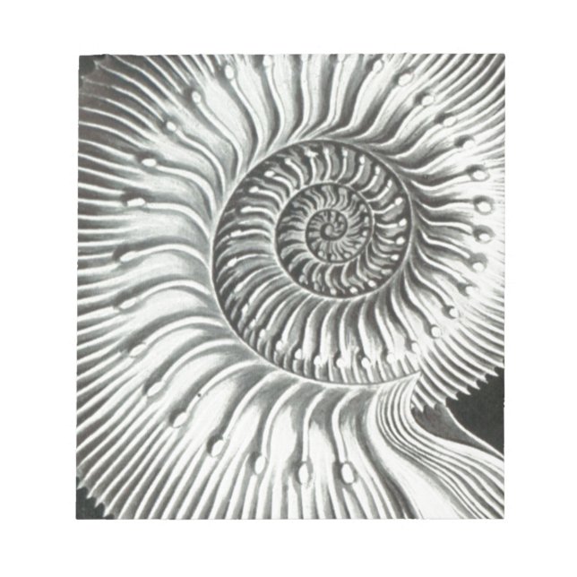 Beautiful close up ammonite picture design notepad (Front)