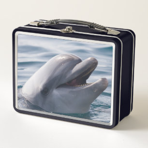 Beautiful Close-Up of a Dolphin Metal Lunch Box