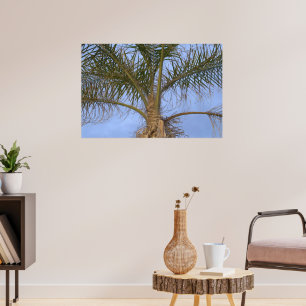 Beautiful Close-up Palm Tree Poster