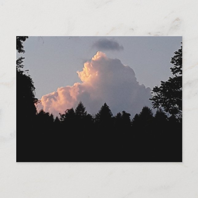  beautiful cloud behind the trees at night  postcard (Front)
