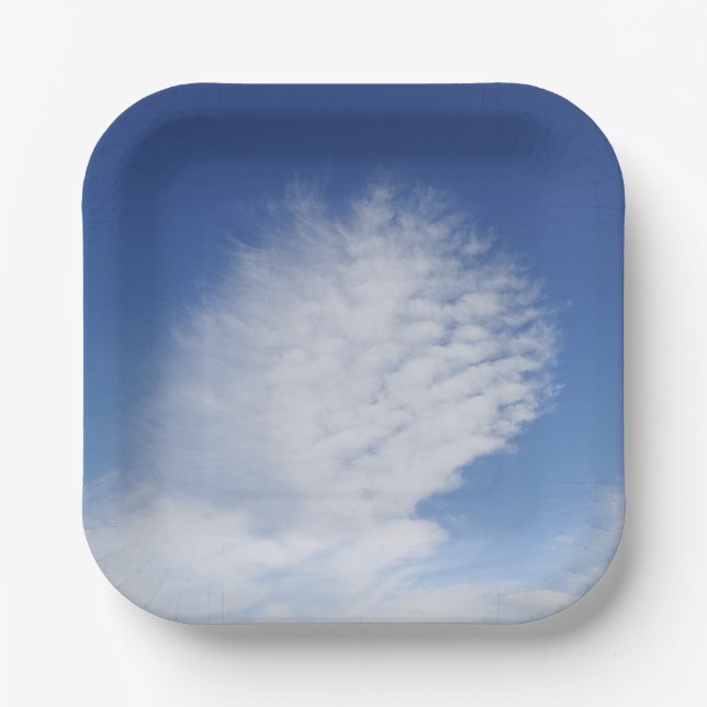 Beautiful cloud paper plate (Front)