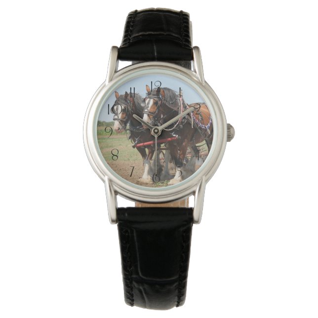 Beautiful clydesdale horses ploughing watch (Front)