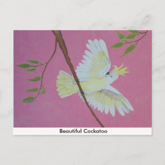 Beautiful Cockatoo Postcard