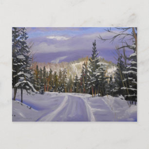 Beautiful Colorado Mountain Snow Scene Postcard