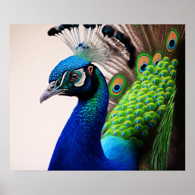 Beautiful Colorful Peacock Peafowl Bird Wildlife P Poster (Front)