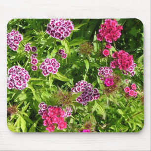 beautiful colour flowers, carnation mouse mat