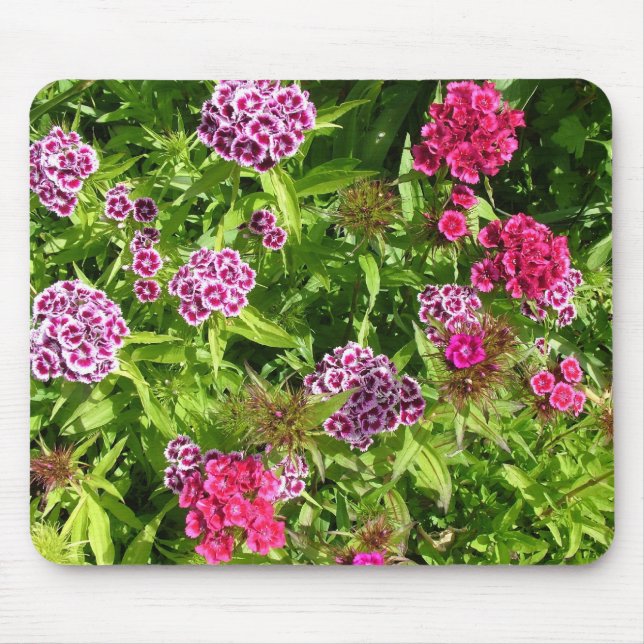 beautiful colour flowers, carnation mouse mat (Front)