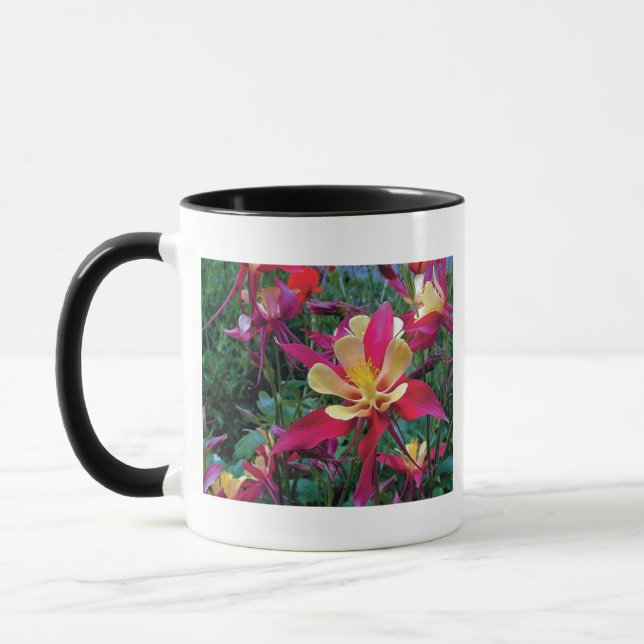 beautiful colour flowers mug (Left)