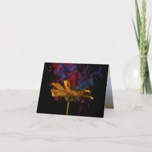 Beautiful Colourful Daisy Card