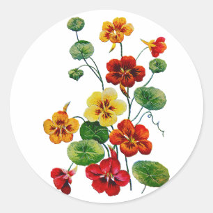 Beautiful Colourful Embroidered Nasturtiums Classic Round Sticker