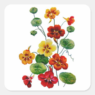 Beautiful Colourful Embroidered Nasturtiums Square Sticker