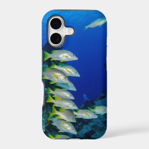 Beautiful Colourful Fishes Best gift for sea lif