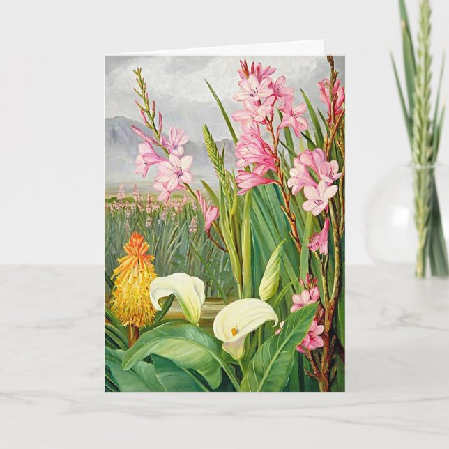 Beautiful Colourful Flowers Blank Note Card (Front)