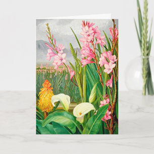 Beautiful Colourful Flowers Blank Note Card