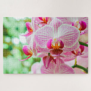 Beautiful colourful fuchsia flower jigsaw puzzle