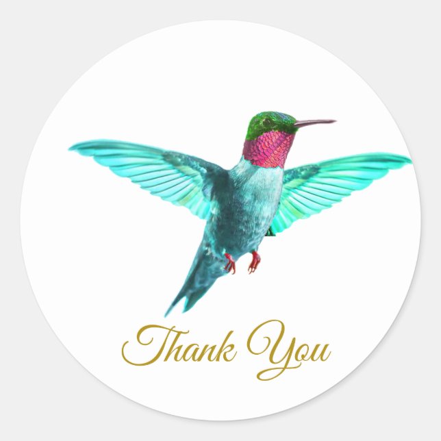 Beautiful colourful hummingbird & golden Thank You Classic Round Sticker (Front)