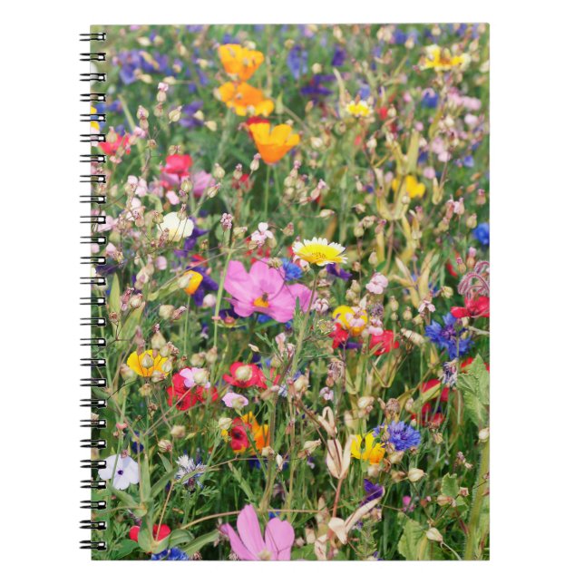 beautiful colourful meadow of wild flowers notebook (Front)