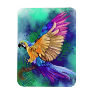 Beautiful Colourful Parrot Magnet