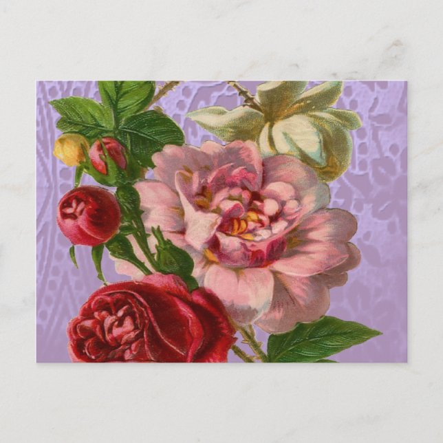 Beautiful Colourful Roses Postcard (Front)