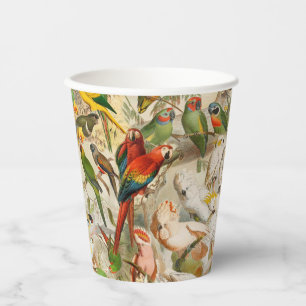 Beautiful Colourful Tropical Birds Parrots Paper Cups