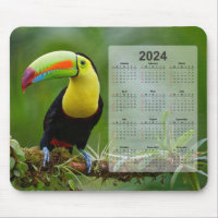 Beautiful & Colourful Tropical Toucan 2024 Calenda