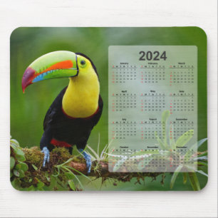 Beautiful & Colourful Tropical Toucan 2024 Calenda Mouse Mat