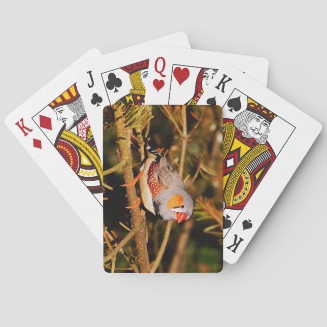 Beautiful Colourful Zebra Finch Bird Playing Cards (Back)